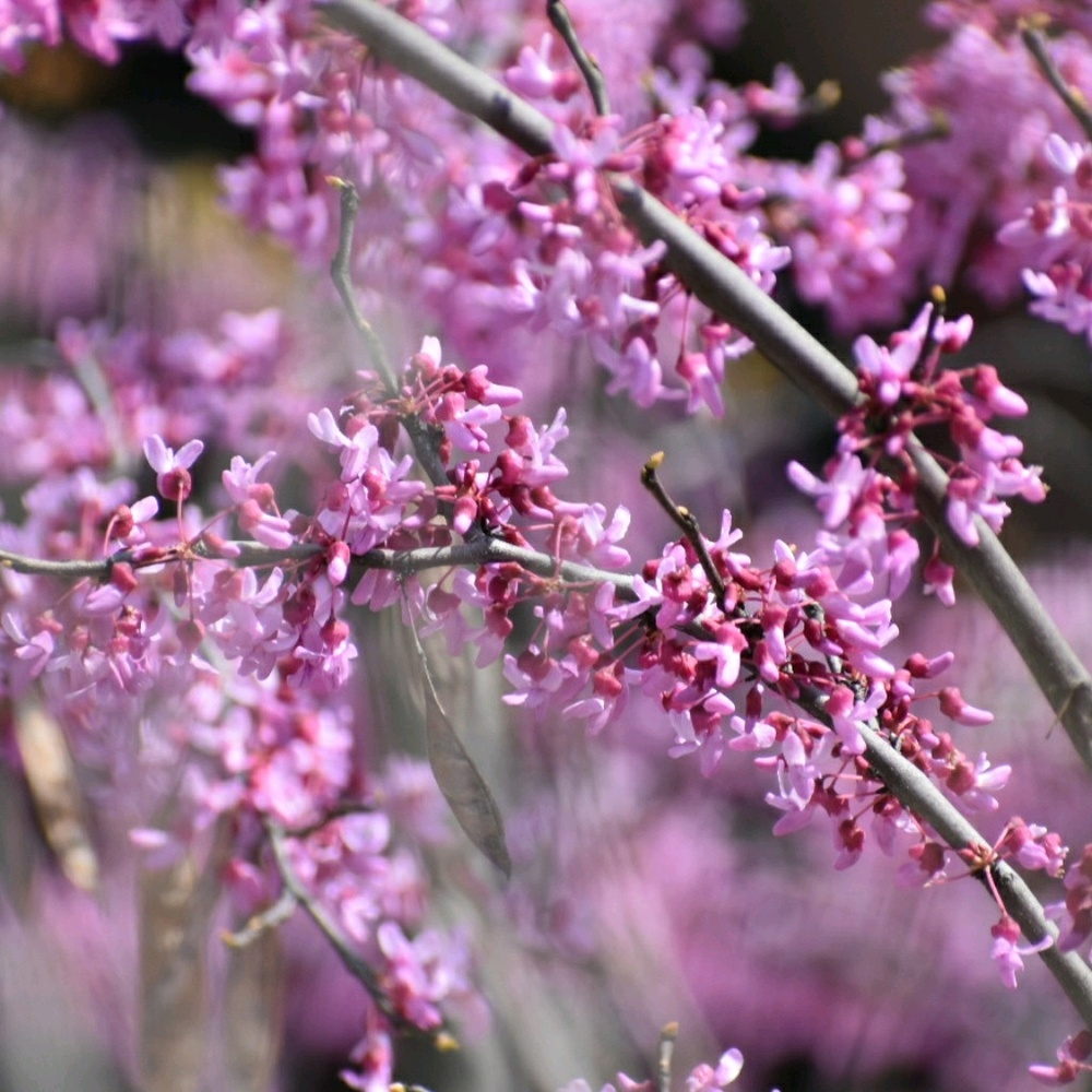 Meet your Posher, Aleigha